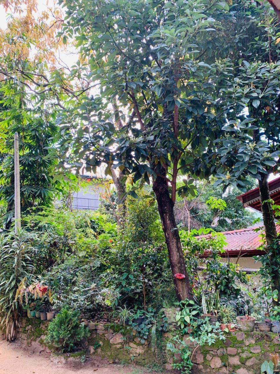 Little Cottage Ella Bagian luar foto